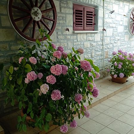 Apartman Sunce Умаг Экстерьер фото